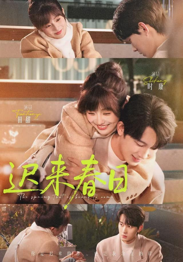 玫瑰的故事